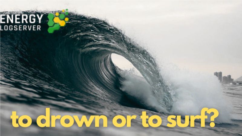 drown_or_surf